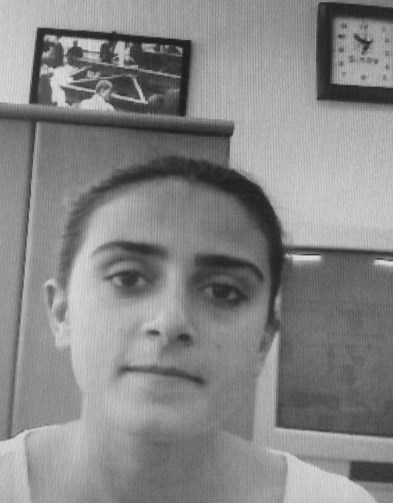 2ankara_patlama_seher_cagla_demir