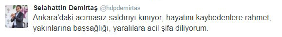 demirtas_4161