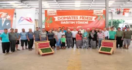 Mersin’de üreticiye domates fidesi desteği