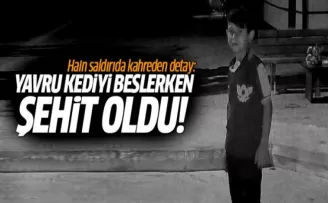 11 yaşındaki Ahmet Oktay Günak, yavru kediyi beslerken şehit oldu