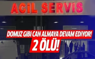 2 kişi daha domuz gribinden öldü!