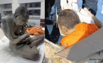200 yıldır derin meditasyonda