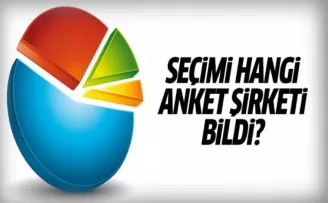 2017 Referandum sonuçlarını hangi anket şirketi doğru bildi?