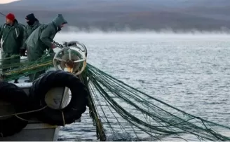 251 milyon liralık destek hesaplara yattı