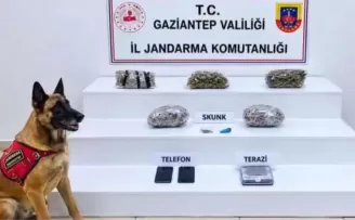 32 ilde yüzlerce kilo uyuşturucu ele geçirildi