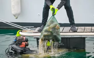 5 ton çöp toplandı, güneş enerjisi kullanımı arttı