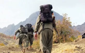 7 PKK'lı teslim oldu