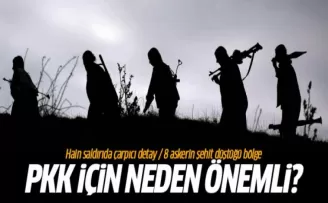 8 askerin şehit düştüğü bölge PKK için neden önemli? İşte yanıtı...