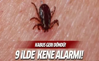 9 ilde kene alarmı!
