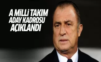 A Milli Takım aday kadrosu açıklandı