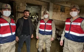 Adıyaman'da kaçırılan 160 koyun Gaziantep'te bulundu 