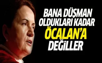 Akşener: Bana düşman oldukları kadar Öcalan’a düşman değiller