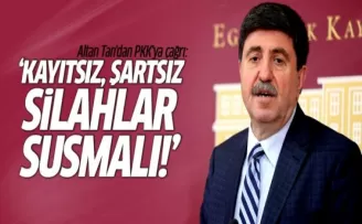 Altan Tan'dan PKK'ya çağrı: Kayıtsız, şartsız silahlar susmalı