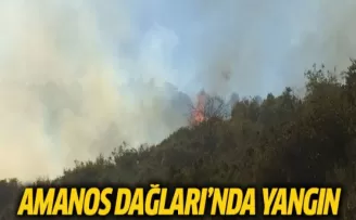 Amanos Dağları'nda Yangın