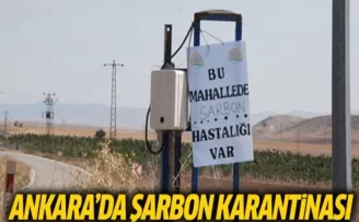 Ankara'da Şarbon Karantinası