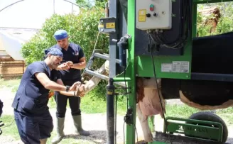 Antalya Büyükşehir’den çobanlara destek