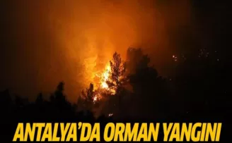 Antalya'da Orman Yangını! Tatil Cenneti Alev Alev Yanıyor