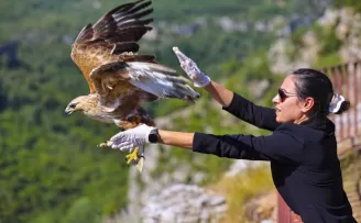 Antalya’da tedavi edilen kızıl şahin yeniden doğaya kavuştu