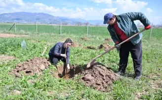 Antalya Korkuteli ilk kez ipekböcekçiliği ile tanışıyor
