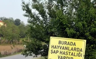 Ardahan'da köyler karantinaya alındı