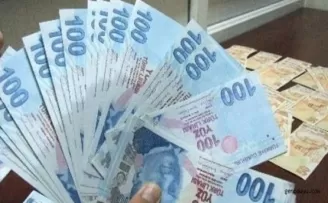 Artık emekli olabilirsiniz. Tebrikler! 