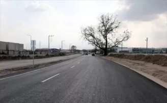 Asırlık çınar ağacı için güzergah değişti