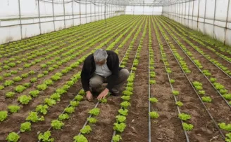 Balıkesir Büyükşehir’den üreticilere tam destek