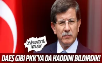 Başbakan Ceylanpınar'da konuştu