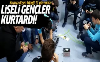 Beykoz'da kuyuya düşen köpek 11 gün sonra kurtarıldı!