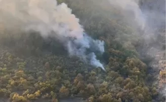 Bilecik Kurtköy’deki orman yangını söndürüldü