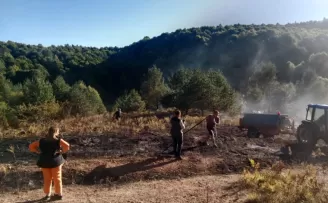 Bilecik Pazaryeri’nde alevler ormana ulaşmadan söndürüldü