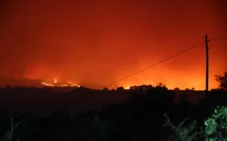 Bilecik’te korkutan orman yangını