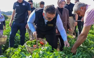 Bilecik’te Vali Sözer’den coğrafi işaretli Kamber Biberi hasadı