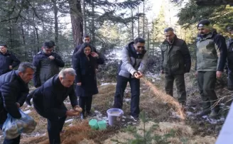 Bilecik’te yaban hayvanlarına Vali şefkati