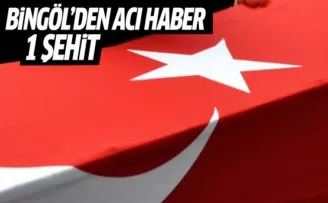 Bingöl'den Acı Haber Geldi! Şehit ve Yaralılar Var