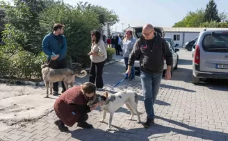 Bornova’da can dostları yeni sahipleriyle buluştu