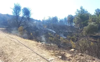 Buca ve Aliağa’da çıkan yangınlar kontrol altında