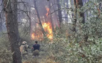 Bursa Büyükşehir’den Gündoğdu yangını seferberliği