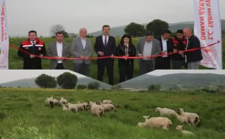 Bursa’da mera ıslahıyla hayvancılık güçleniyor