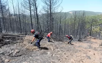 Bursa’da orman yangınlarına OSAD’dan koordineli müdahale