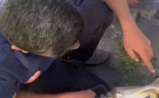 Büyükşehir İtfaiyesi, tehlikeye düşmüş tüm canlılara yardım elini uzatıyor