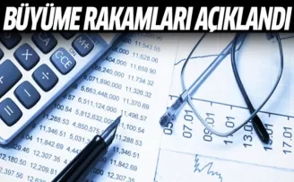 Büyüme Rakamları Açıklandı