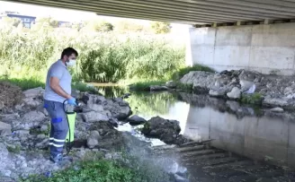 Çanakkale’de ısıran karasinek alarmı