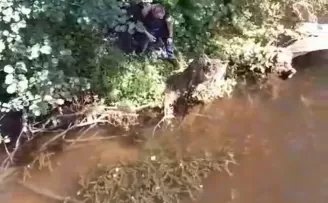 Çatalca’da mahsur kaplumbağa itfaiye tarafından kurtarıldı