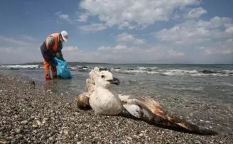 Çevrenin korunmasına yönelik teklif yasalaştı
