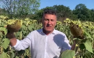 CHP’li Sarıbal’dan ayçiçeği üreticilerine destek çağrısı