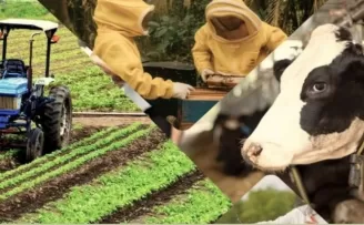 Çiftçiye 3,3 milyar TL’lik destek ödemeleri hesaplarda