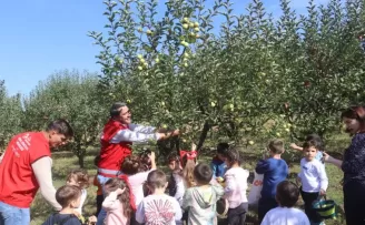 Çınar Çocuk Evi minikleri meyveleri dalından topladı