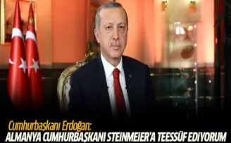 Cumhurbaşkanı Erdoğan: Almanya Cumhurbaşkanı Steinmeier'a teessüf ediyorum