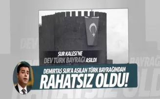 Demirtaş Sur'a asılan Türk bayrağından rahatsız oldu
